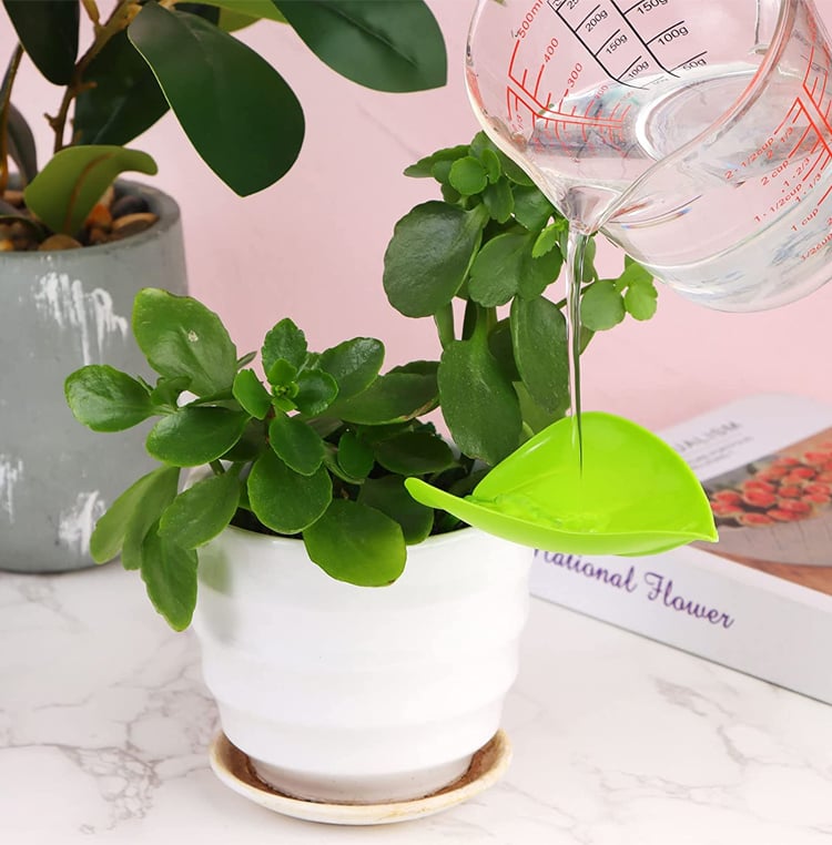 Clean Watering for Aquatic Plants Without Spills or Mess Every Time