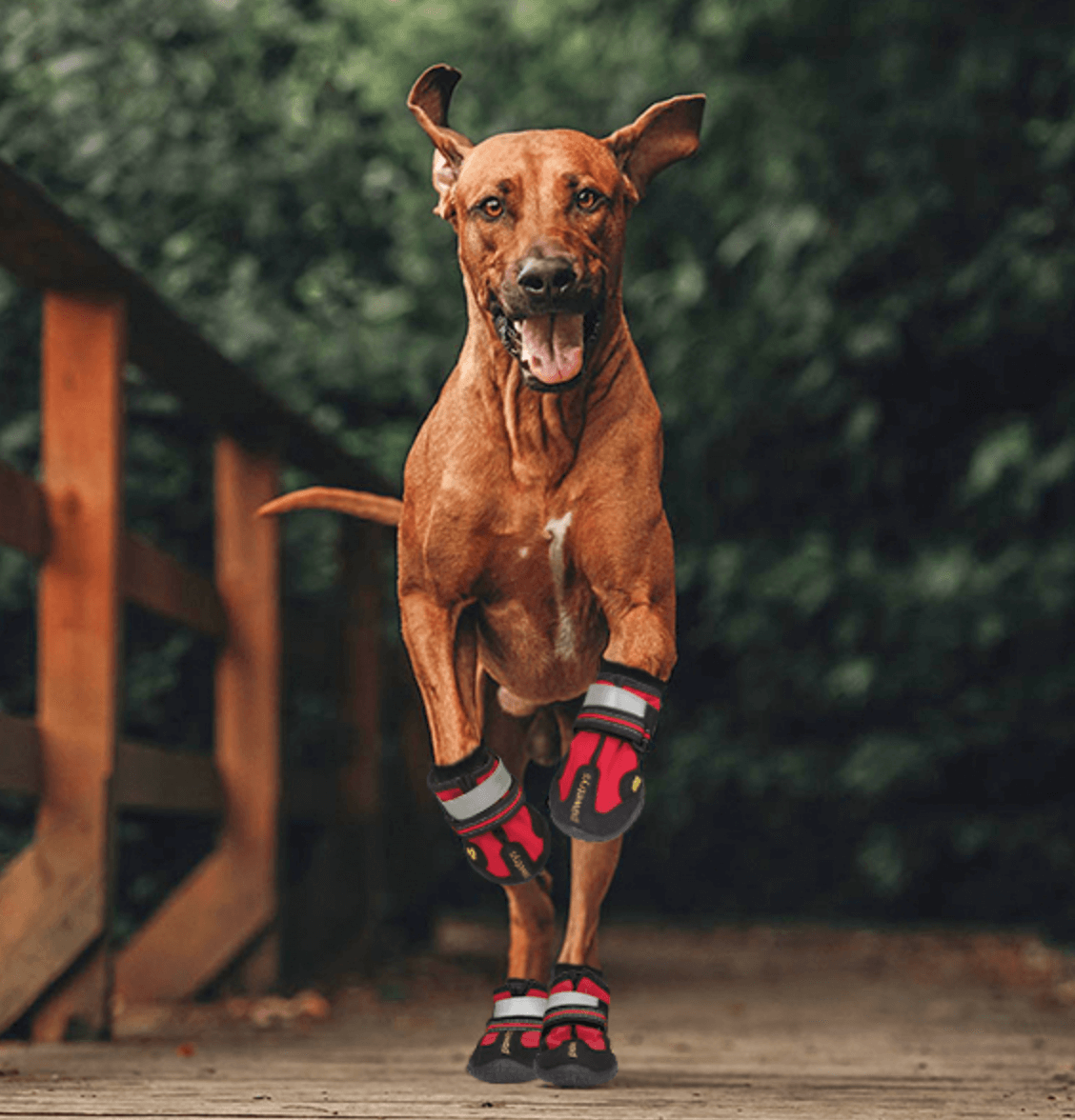 Waterproof Non-Slip Dog Boots - Ideal Protection