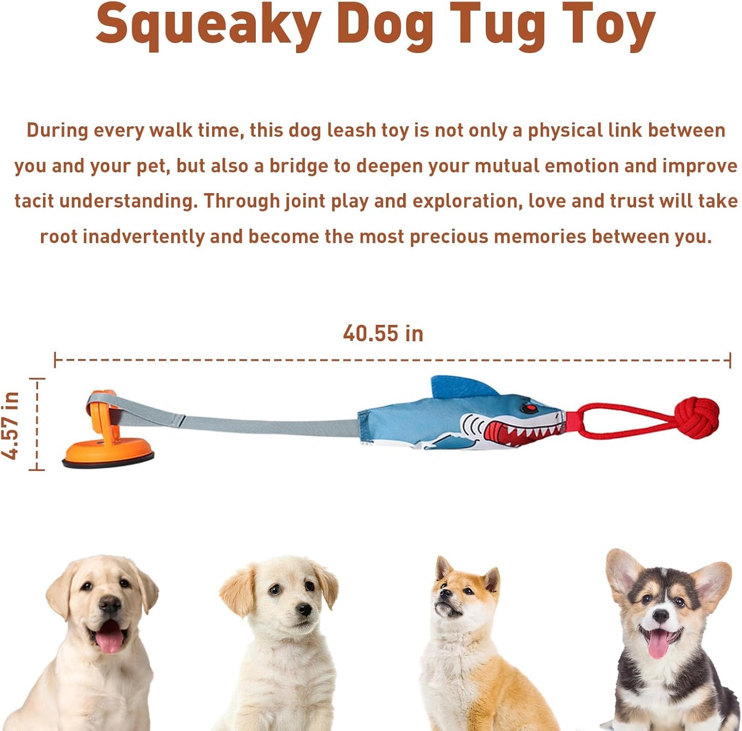 Boost Your Dog's Confidence and Release Energy Quickly