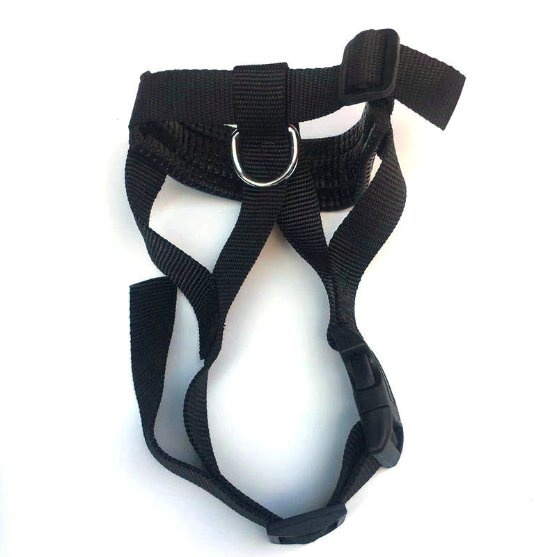 Adjustable Canine Muzzle – Breathable and Hydration-Friendly!