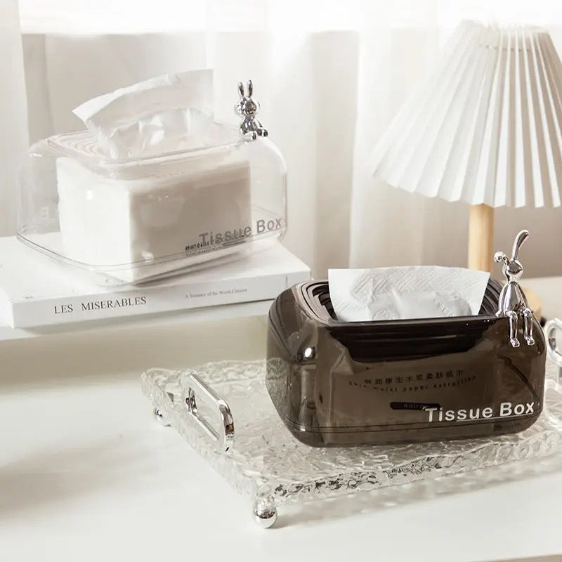 Elegant Clear Tissue Organizer Box