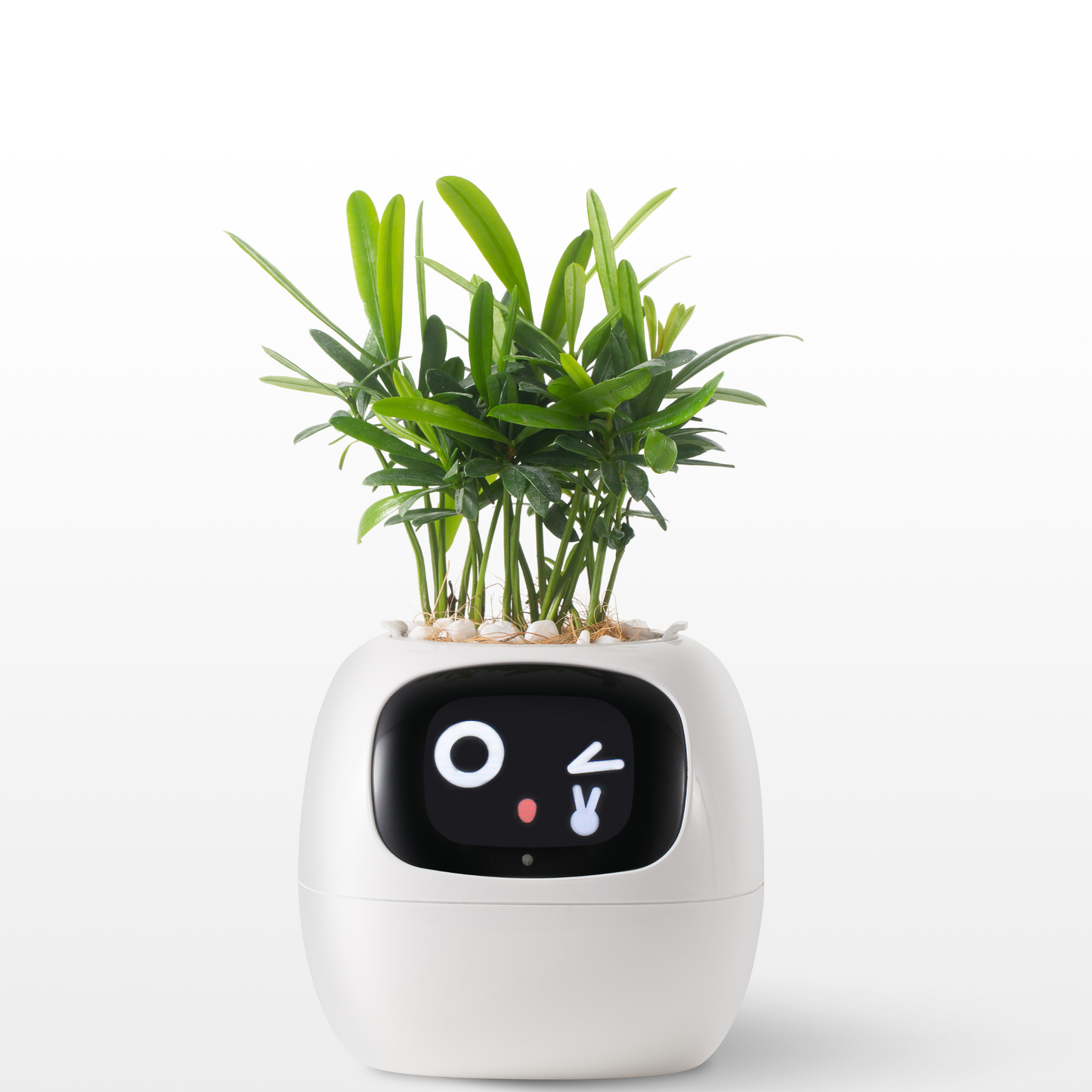 Creative Emoji Flower Pot