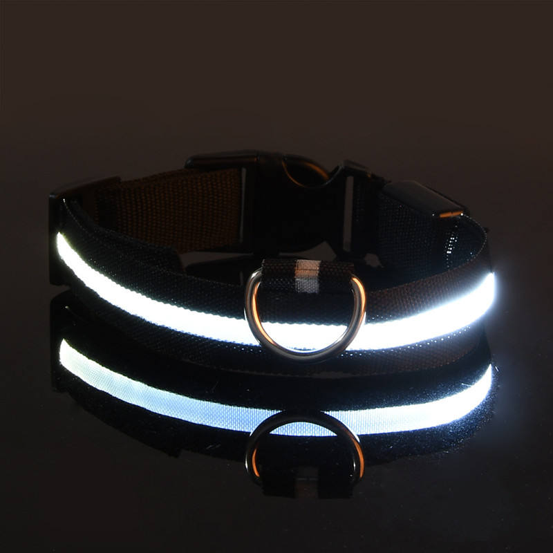 IlluminatePet Safety Collar for Nighttime Adventures