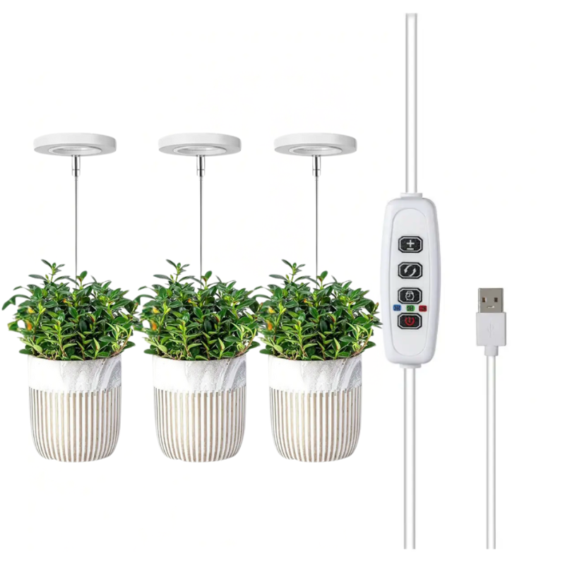 Keep Your Houseplants Healthy and Lively Year-Round