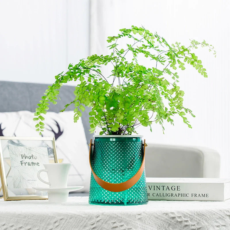 Hydroponic Plant Pot – Keep Your Houseplants Hydrated All Day Effortlessly