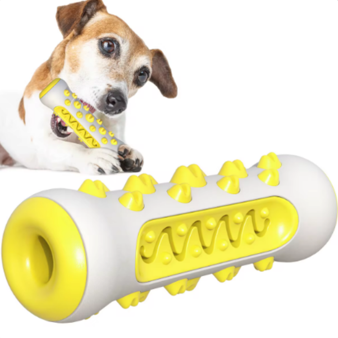 Interactive Rubber Dog Toy with Cleaning Features