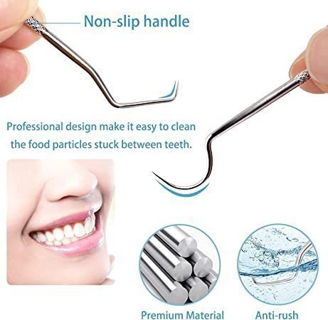 Stainless Steel Toothpick Set of 7 Pieces