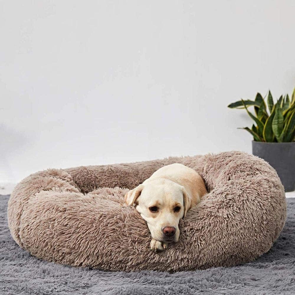 Dog Bed for Relaxation and Comfort