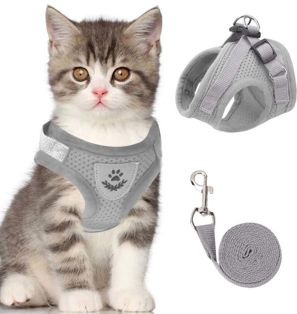 Adjustable, Breathable, Light-Up Cat Harness
