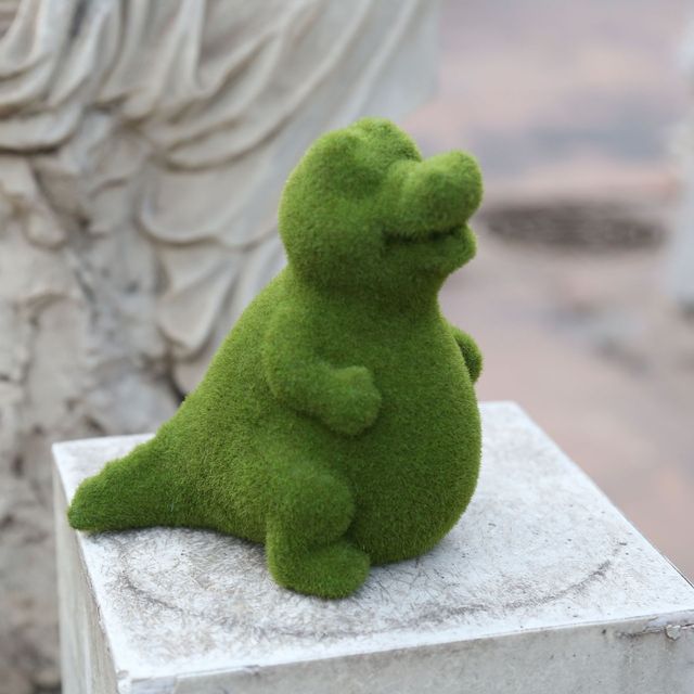 Transform Your Garden into a Lush Oasis Instantly