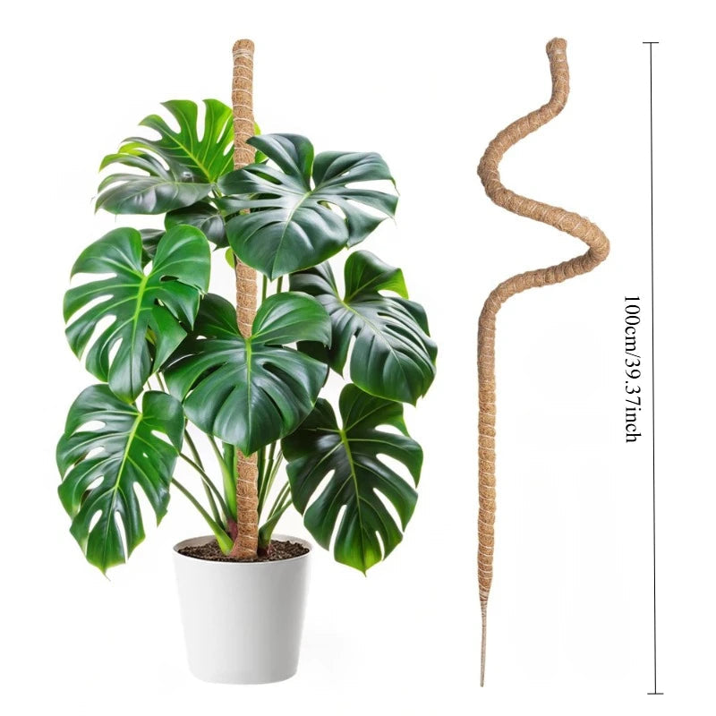 Large Coconut Plant Support Stake | Flexible Coco Fiber Support | Ideal for Monstera & Climbing Plants