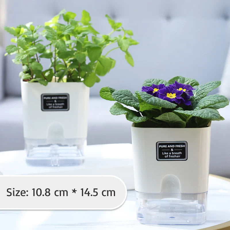 Grow Plants Easily Without Daily Watering Issues