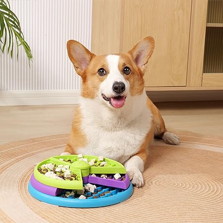 Slow Feeder and Entertaining Feeding Puzzle for Pets