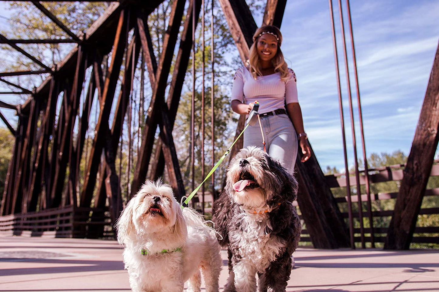 Flexible Dual Leash for Dogs