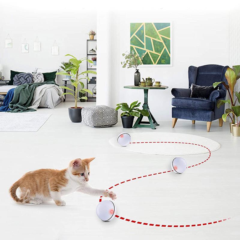 Endless Fun Toy for Keeping Your Cat Active and Happy