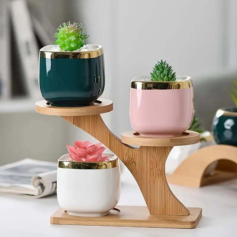 Stylish and Instant Plant Organization and Display with Eco Bamboo