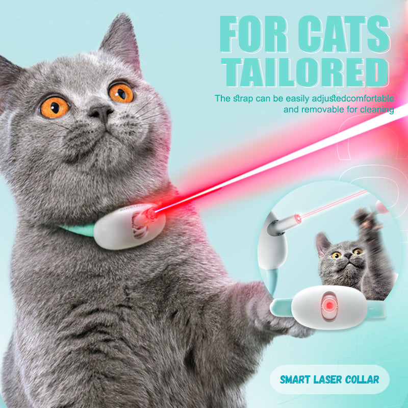 Keep Your Cat Healthy, Happy, and Energetic Every Day