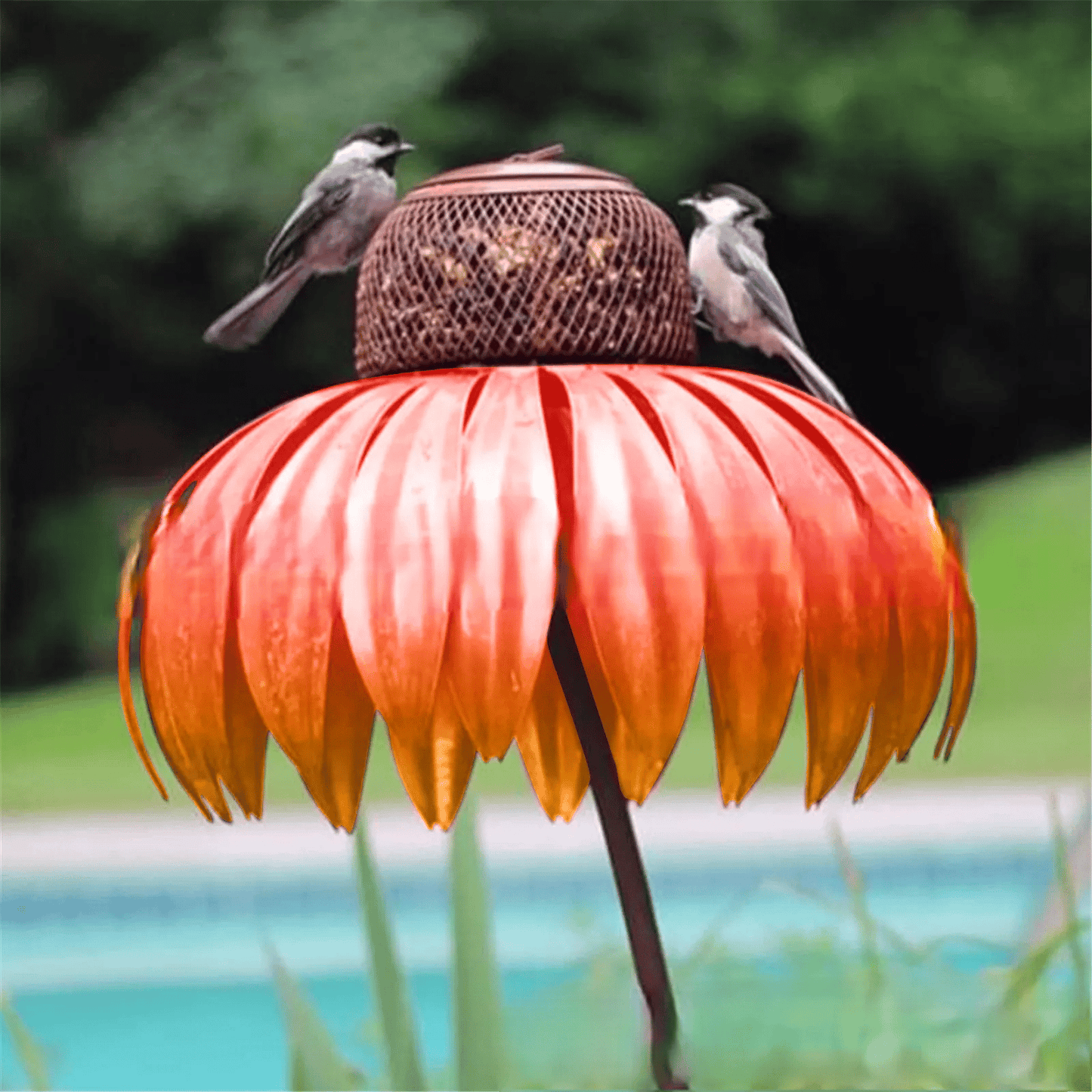 Buy One Get One Free | Kegel Flower Bird Feeder
