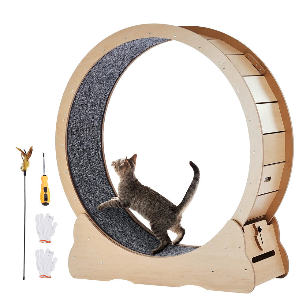 Cat Food Grinder and Mixer
