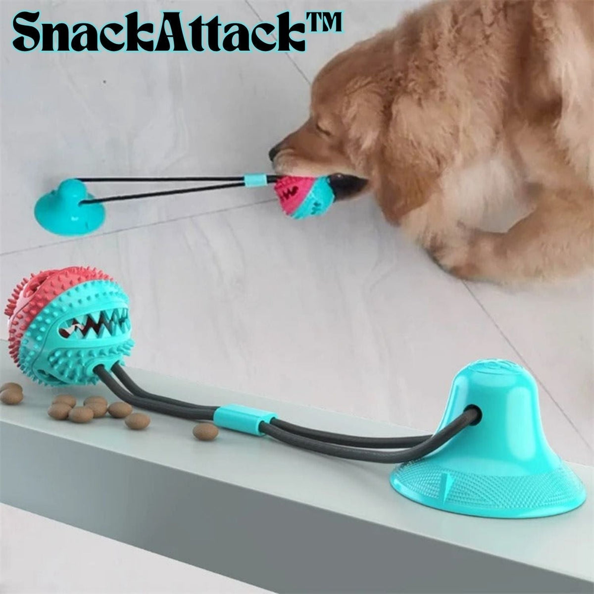 PawSuction — Keep Your Dog Engaged, Happy, and Safe All Day