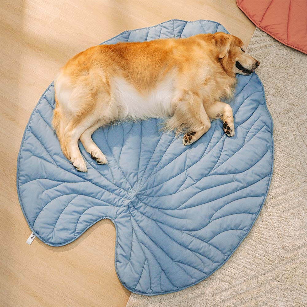 Large Throw Blanket for Dogs – Comfortable Companion Cover