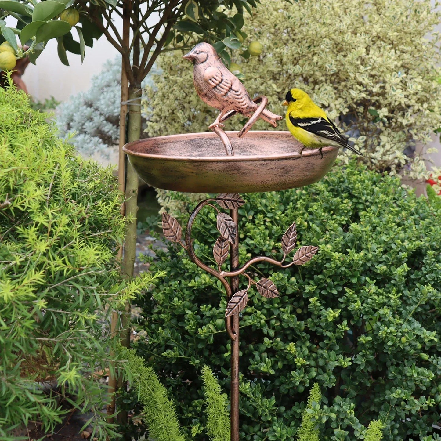 Elegant Bird Bath with Sturdy Ground Spike for Your Garden