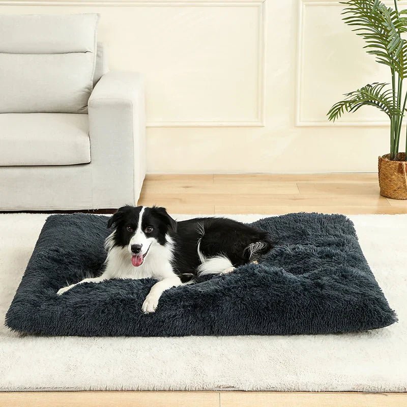 Luxurious Plush Dog Bed | Cozy Cotton Cover | DreamRest