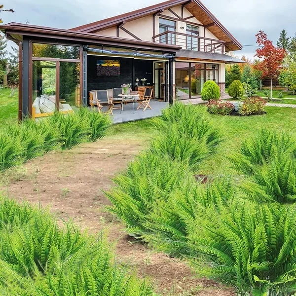 Outdoor Decorative Greenery Panels