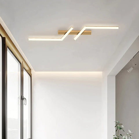 Chic Ceiling Lamp with LED for Contemporary Illumination