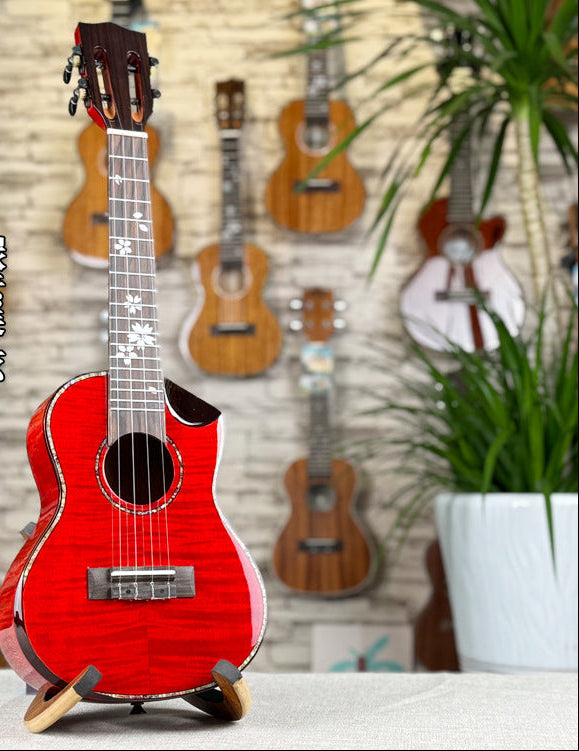 Ukulele Instrument with Acoustic Design