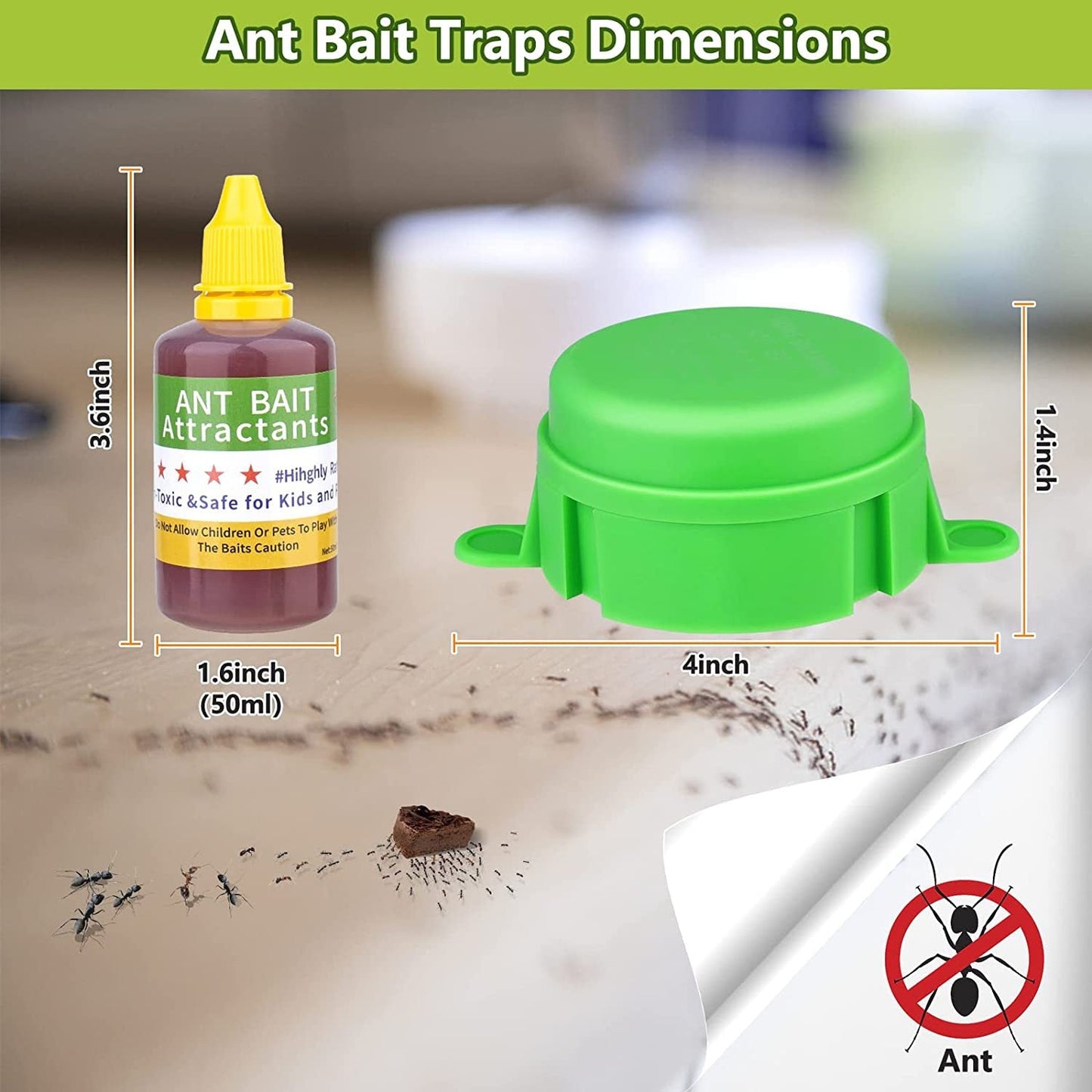 Wasp and Ant Trap with Refill Mechanism