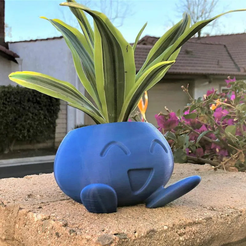 Brighten Any Room with Fun and Healthy Plant Display