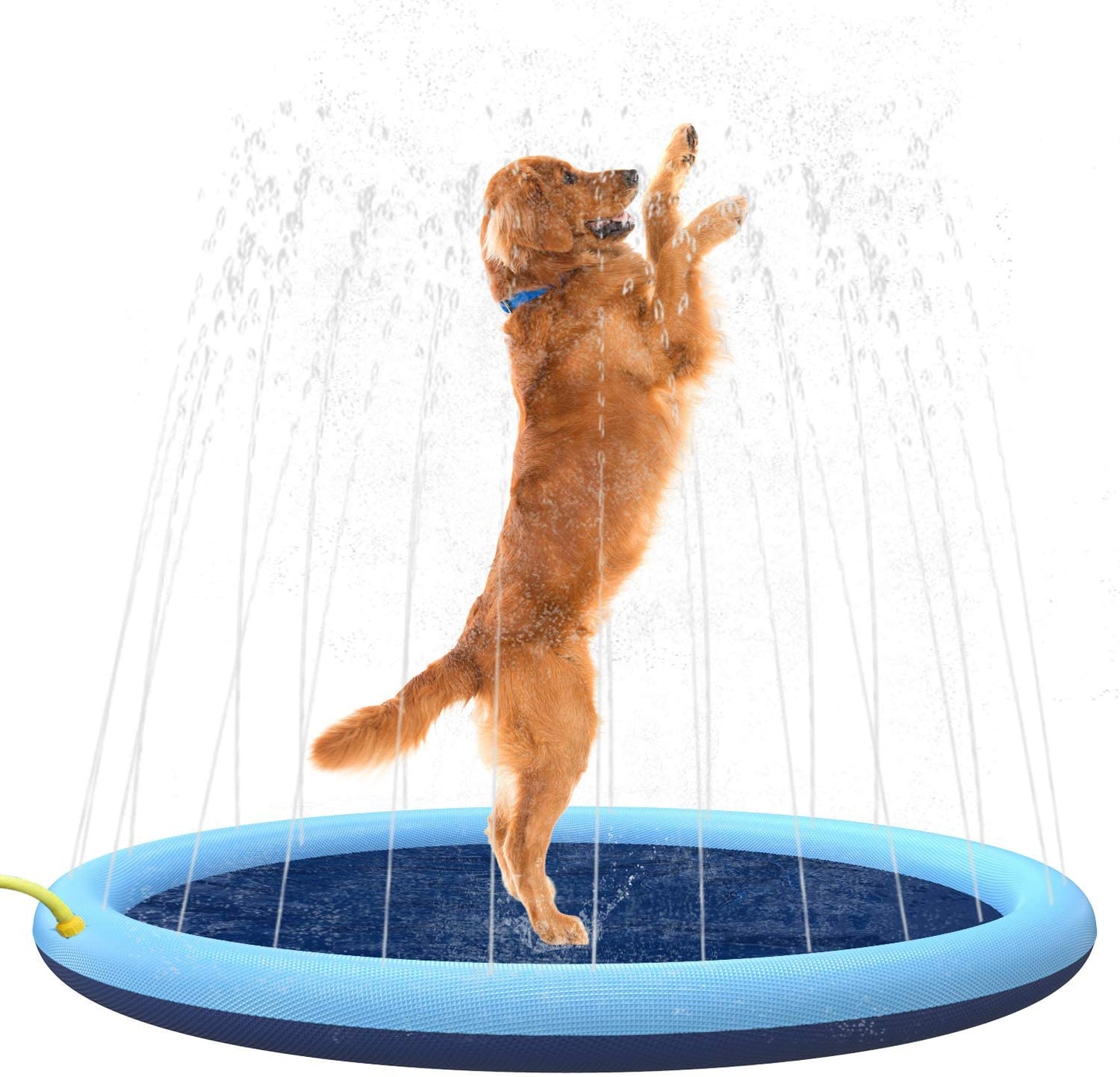 Inflatable Dog Bath Mat with Sprayers – PawSplash Water Play for Pets