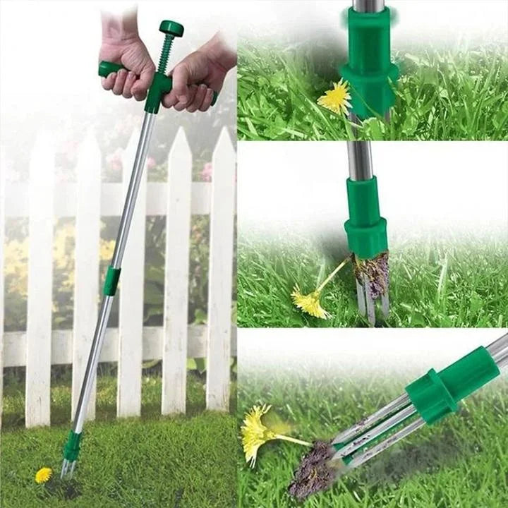 Effective Root Remover for Potted Plants – RootVanish Tool