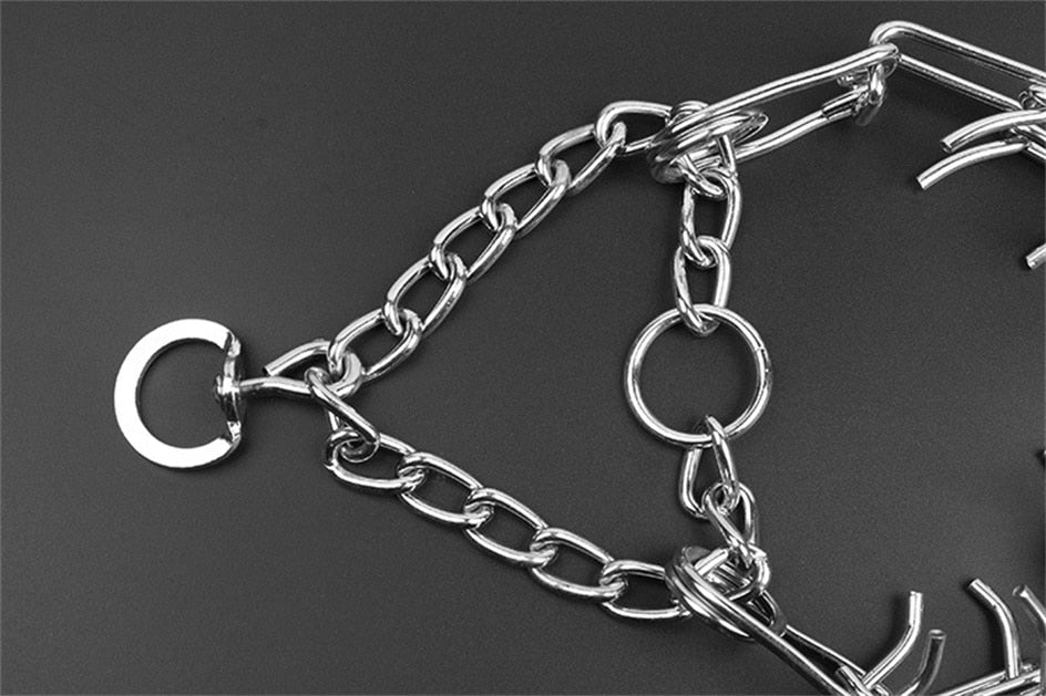 Stylish Dog Pincher Collar - Size B