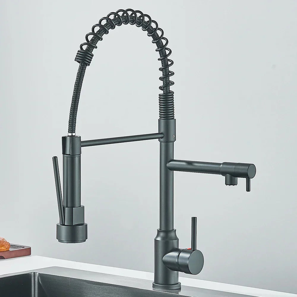 Kitchen Faucet with Dual Outlet