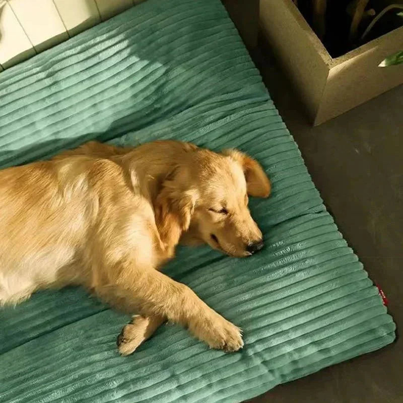 Comfortable Dog Bed for Puppies, Adults, and Seniors - Soft Supportive Design