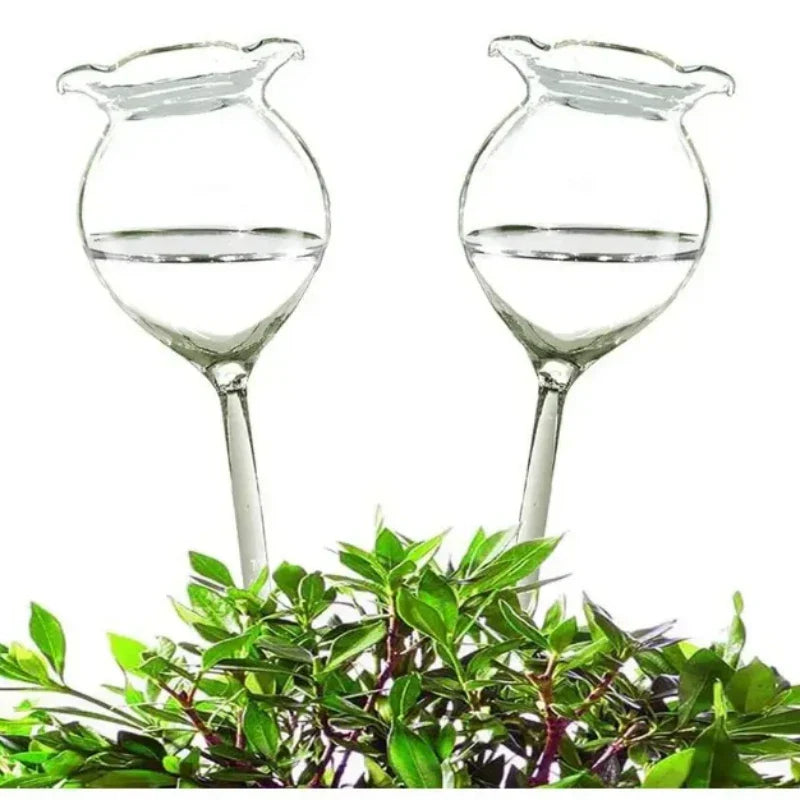Automatic Self-Watering Plant Globes | Set of 2 Handmade Glass
