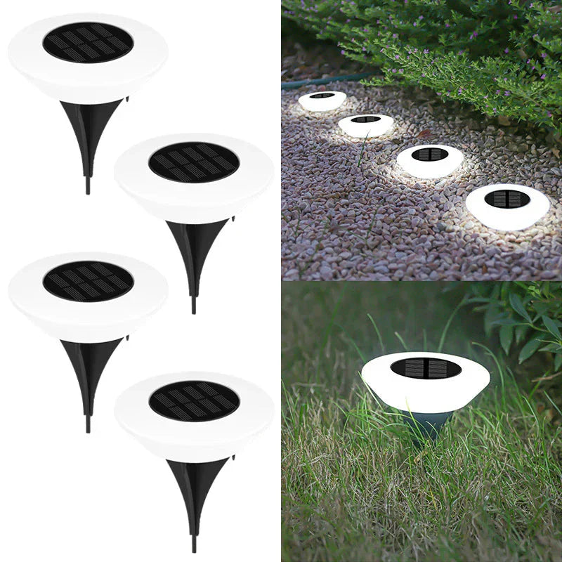 Eco-Friendly Solar Ground Lights with Automatic Dusk Sensor