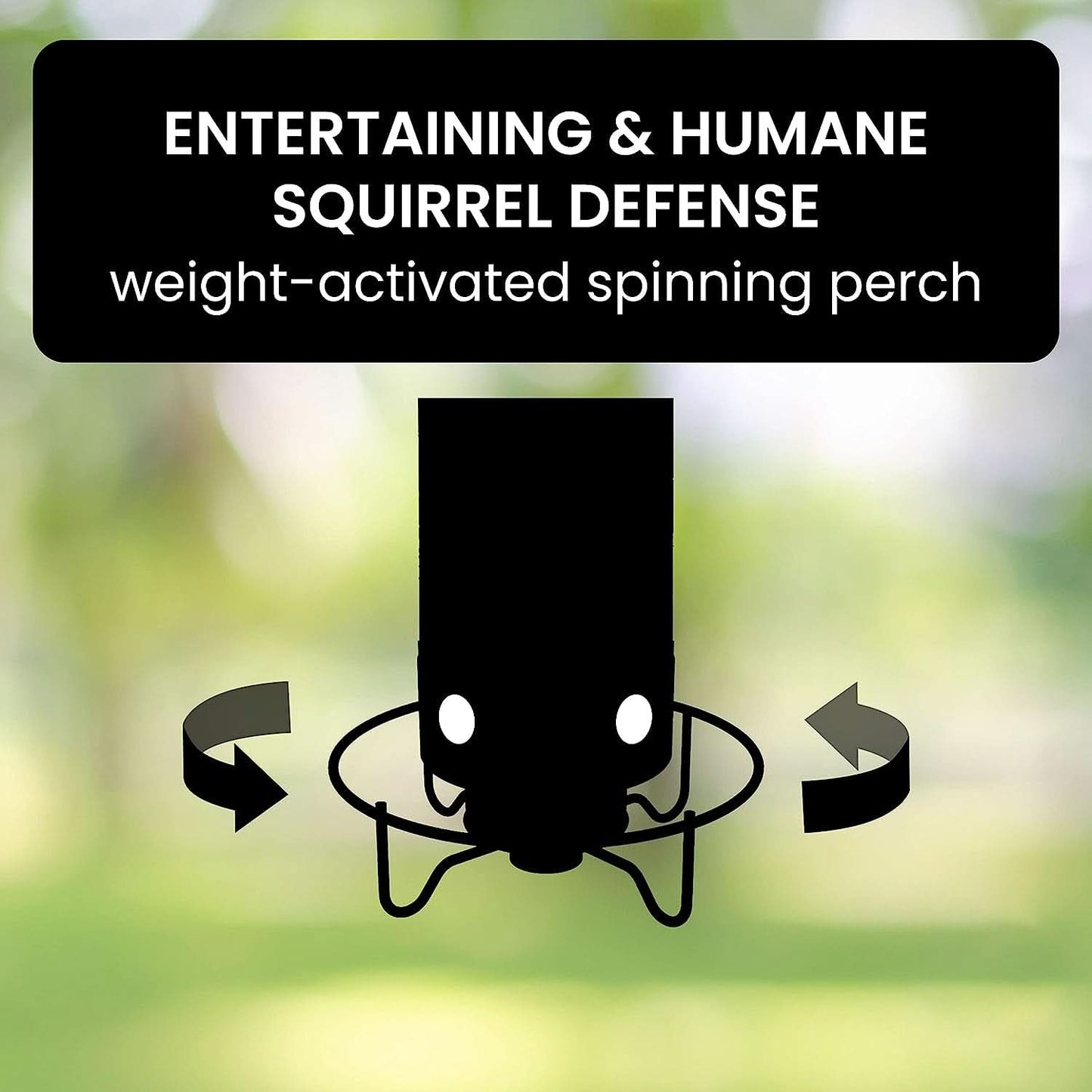 Squirrel-Resistant Bird Feeder Station for the Backyard
