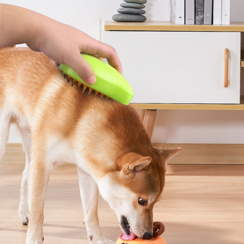PetGroom Pro | Effortless Steam Grooming Tool for Pets