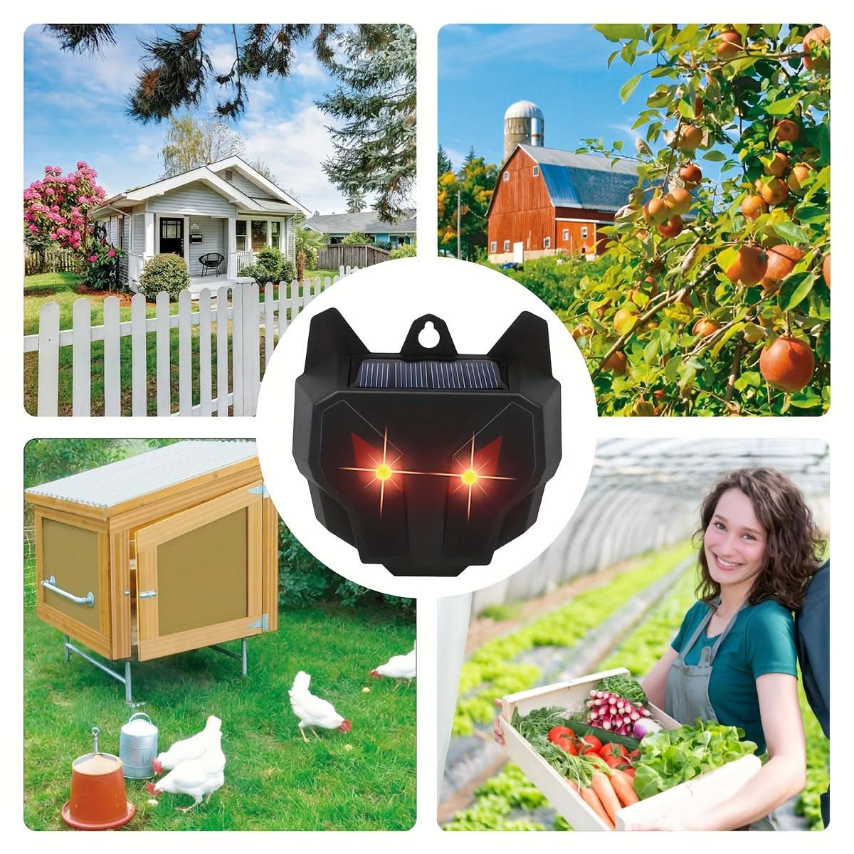 Solar-Powered Animal Deterrent