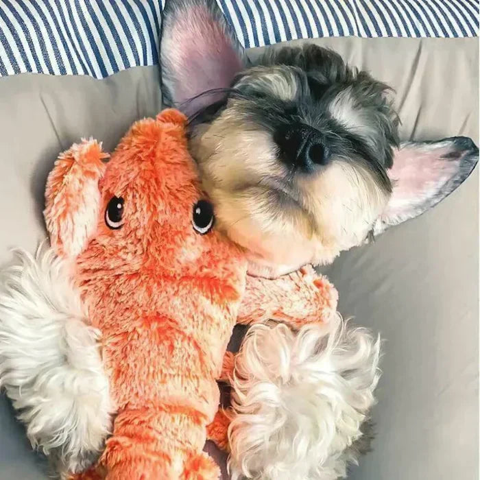 Interactive Dog Toy with Motion Sensor – Play Companion