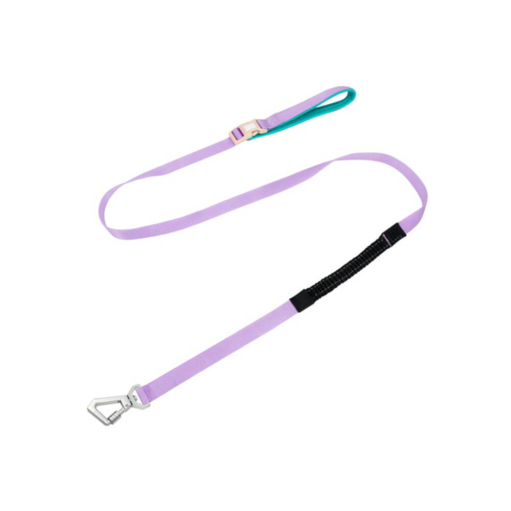 Multi-Functional Leash and Anti-Pull Dog Harness in AquaCool Design