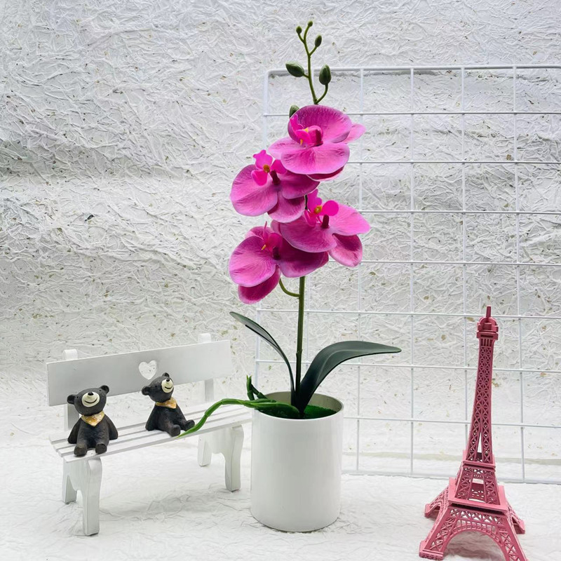 Effortless Elegance with Realistic, Low-Maintenance Orchids