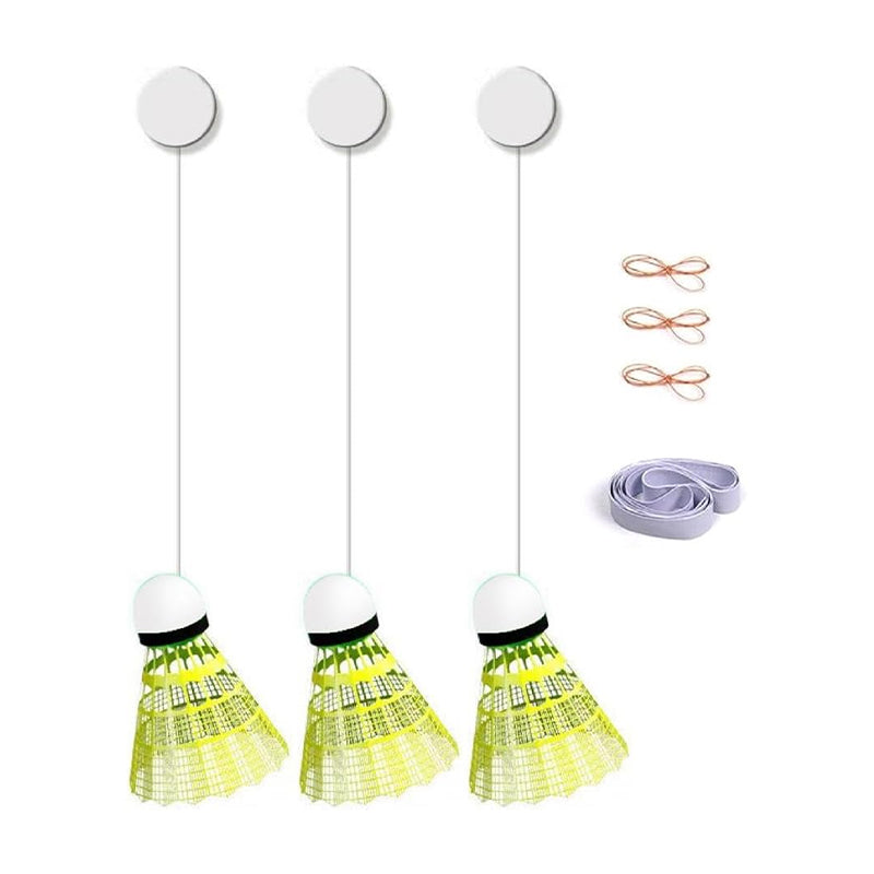 Rebound Badminton Trainer for Solo Practice