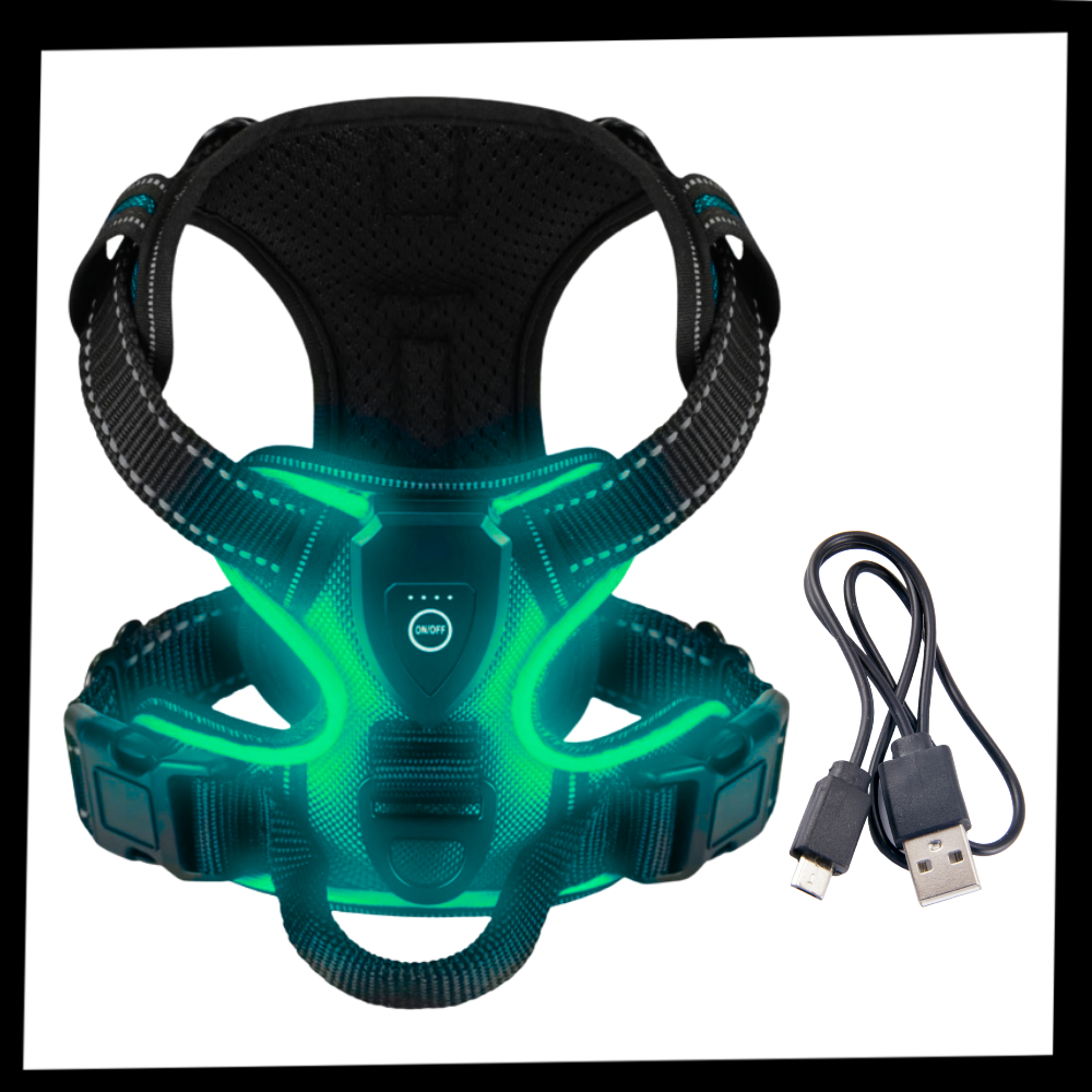 Illuminate Dog Harness with No-Pull Control