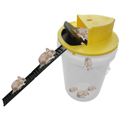 Humane Multi-Catch Bucket Mouse Trap with Auto Reset Feature
