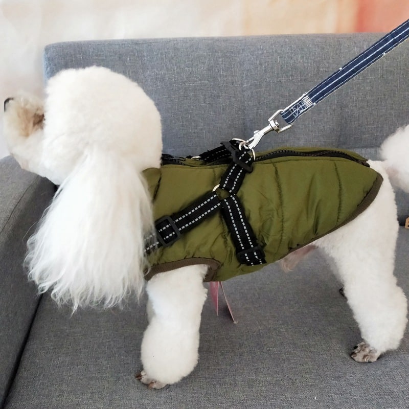 All-Weather Dog Coat with Built-in Safety Harness for Winter