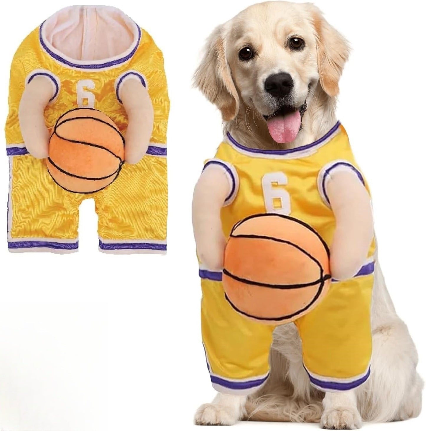 Stylish Dog Basketball Set with Matching Ball for Active Puppies